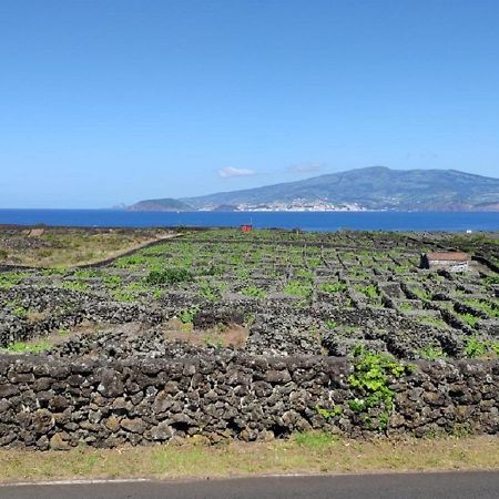 Casa Da Ilha Villa Madalena  Eksteriør billede