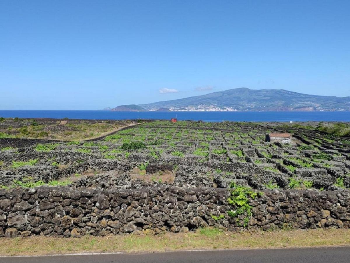 Casa Da Ilha Villa Madalena  Eksteriør billede
