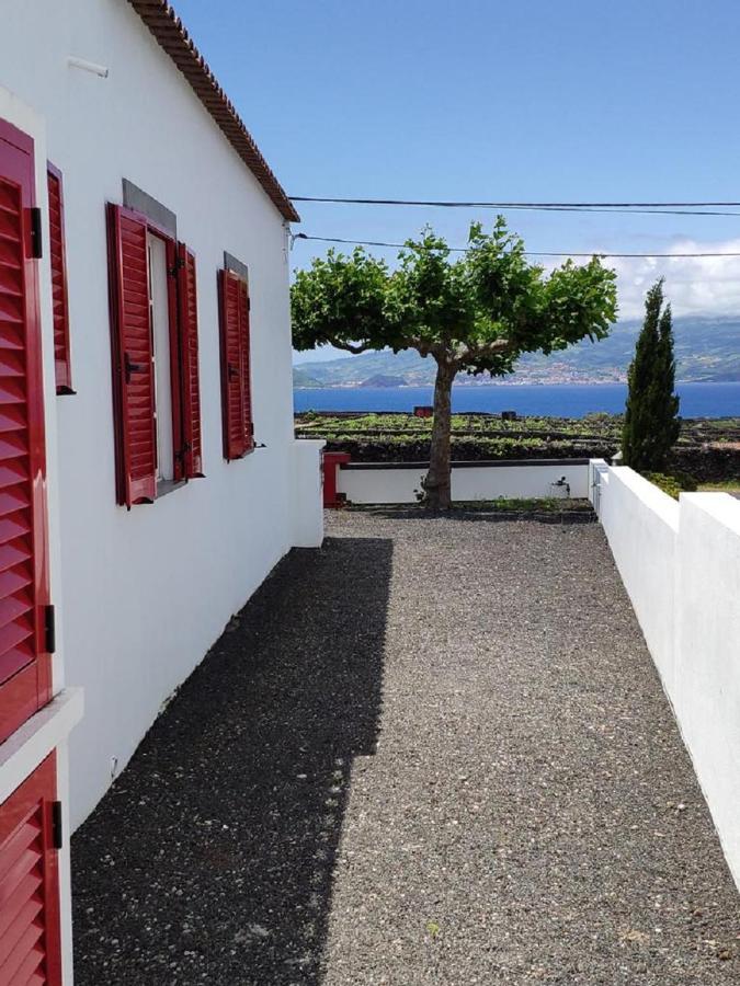Casa Da Ilha Villa Madalena  Eksteriør billede